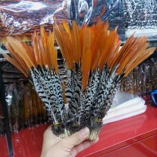 Декоративные перья алмазного фазана 25-30 см. 1 шт. 