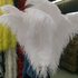 Премиум перья страуса 65-70 см. Белый цвет