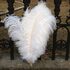 Премиум перья страуса 65-70 см. Белый цвет