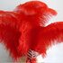 Премиум перья страуса 65-70 см. Красный цвет