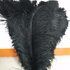 Премиум перья страуса 65-70 см. Черный цвет