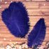 Перья страуса 25-30 см. Синий цвет