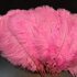 Перья страуса 30-35 см. Розовый цвет