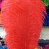 Премиум перья страуса 55-60 см. Красный цвет
