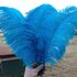 Премиум перья страуса 55-60 см. Голубой цвет
