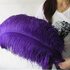 Премиум перья страуса 65-70 см. Фиолетовый цвет