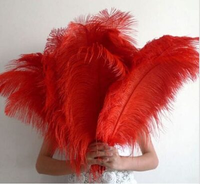 Премиум перья страуса 65-70 см. Красный цвет