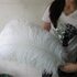 Премиум перья страуса 70-75 см. Белые