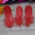 Пушистые перья гуся 13-18 см, 20 шт. Красного цвета