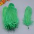 Пушистые перья гуся 13-18 см, 20 шт. Зеленого цвета