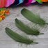 Пушистые перья гуся 13-18 см, 20 шт. Армейский зелёный цвет