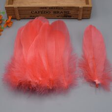 Пушистые перья гуся 13-18 см, 20 шт. Кораллового цвета #14