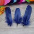 Пушистые перья гуся 13-18 см, 20 шт. Темно-синий цвет #12