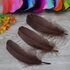 Пушистые перья гуся 13-18 см, 20 шт. Тёмно-коричневый цвет