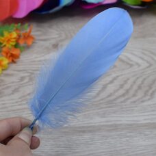 Набор перьев гуся 13-18 см, 20 шт. Water blue