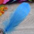 Набор перьев гуся 13-18 см, 20 шт, голубой