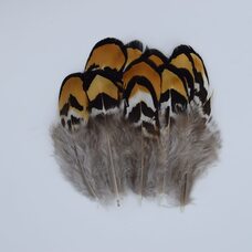 Декоративные перья фазана 6-8 см. 20 шт.