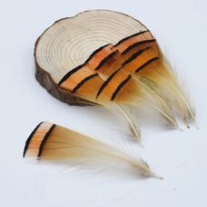Декоративные перья фазана 4-6 см. 10 шт.