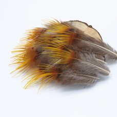 Декоративные перья 5-7 см. c оранжевым кончиком. 10 шт.