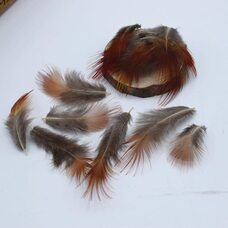 Декоративные перья фазана 5-9 см. с красным кончиком 10 шт.