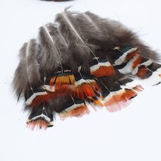Декоративные перья фазана 5-7 см. 10 шт.