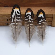 Декоративные перья фазана 7-10 см. Натуральный цвет. 10 шт.