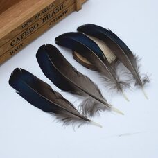 Декоративные перья 10-15 см. 10 шт.