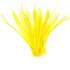 Перья гуся 15-20 см. биот (нити) - 10 шт. Желтый цвет
