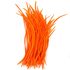 Перья гуся 15-20 см. биот (нити) - 10 шт. Оранжевый цвет