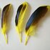 Перья утки 10-15 см. с отливом 10 шт. Желтый цвет