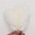 Перья страуса 15-20 см. Белый цвет