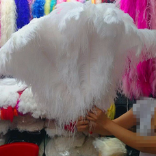 Премиум перья страуса 60-65 см, 1 шт., Белый цвет