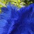 Премиум перья страуса 50-55 см. Синий цвет