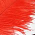 Премиум перья страуса 50-55 см. Красный цвет