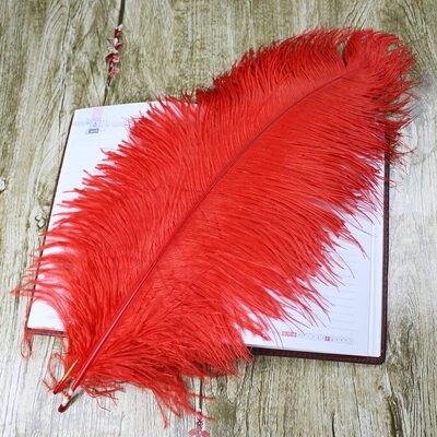 Премиум перья страуса 50-55 см. Красный цвет