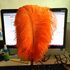 Премиум перья страуса 50-55 см. Оранжевый цвет