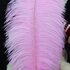 Премиум перья страуса 50-55 см. Розовый цвет