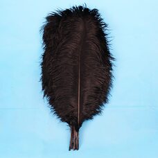 Премиум перья страуса 50-55 см. Черный цвет