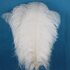 Премиум перья страуса 50-55 см. Белый цвет