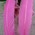 Гусиное перо 27-33 см. 1 шт. Розового цвета