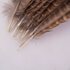 Декоративные перья Pheasаnt 10-15 см. 10 шт. Натуральный цвет