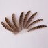 Декоративные перья 10-15 см. 10 шт. Натуральный цвет