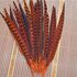 Декоративные перья Pheasаnt 30-35 см. Оранжевые
