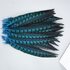 Декоративные перья алмазного Pheasаnt 23-28 см. 1 шт. Голубой цвет
