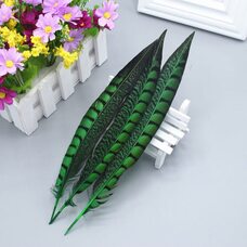 Декоративные перья 23-28 см. 1 шт. Зеленый цвет