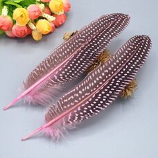 Перья цесарки 17-22 см. 10 шт. Розовый цвет