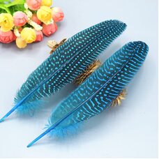 Перья цесарки 17-22 см. 10 шт. Голубой цвет