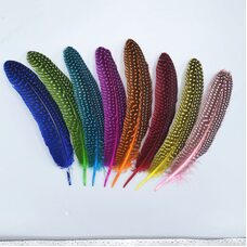 Перья цесарки 17-22 см. 10 шт. Голубой цвет