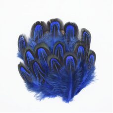 Декоративные перья фазана разноцветные 5-8 см. 20 шт. Синего цвета