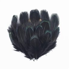 Декоративные перья фазана разноцветные 5-8 см. 20 шт. Черные